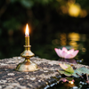 Serene Lamp and Lotus