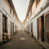 Mattancherry Spice Lane