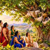 The Shami Tree That Hid the Pandavas’ Weapons