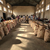 Rural Spice Auction Floor
