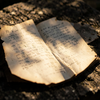 Aged Palm Leaf Manuscript
