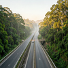 Golden Hour Highway Through Forest