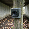 Camera Trap in Forest Underpass