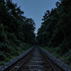 Forest Railway at Dusk