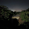 Night's Urban Wildlife Passage