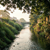 Golden Hour Stream Corridor
