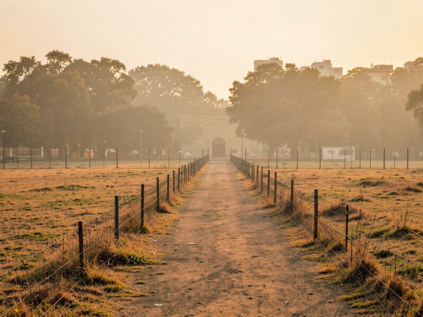Golden Hour Park Run