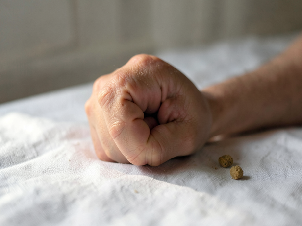 Fist, Kibble, Morning Light
