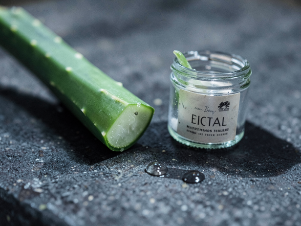 Fresh Aloe Vera Gel