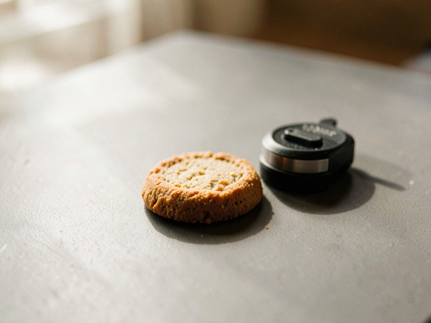 Dog Treat and Clicker