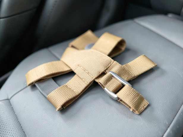 Dog harness on car seat