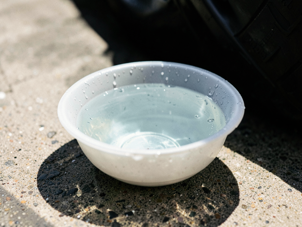 Cool Water on Hot Day