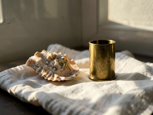 Dawn's Still Life: Conch and Brass