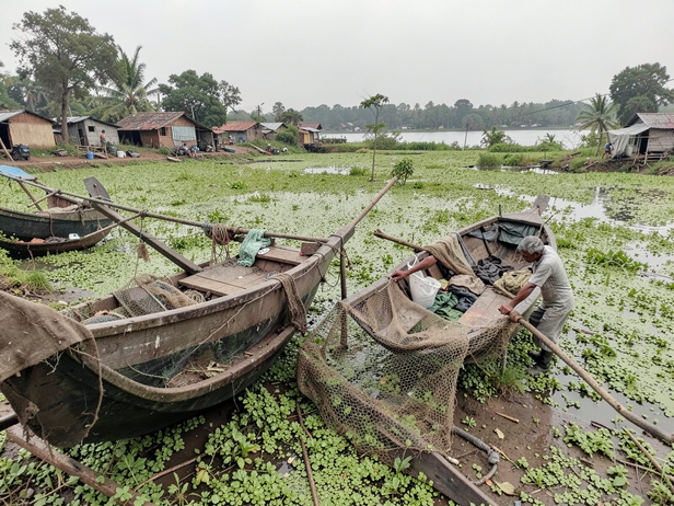 Fishing Life Amidst Hyacinth