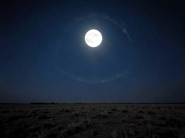 Full Moon Over Open Plains