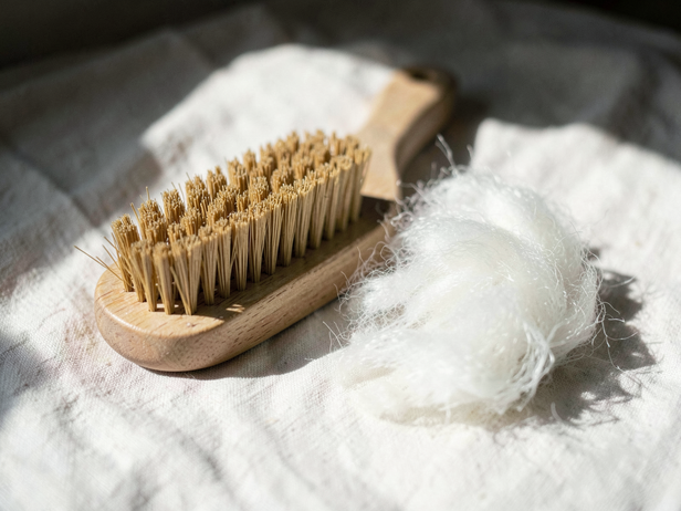 Grooming Brush and Dog Fur