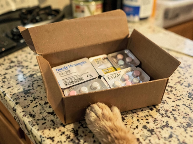 Cat's Paw Near Medicine