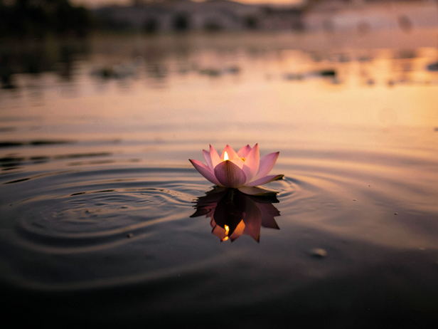 Dawn's Serene Lotus and Diya