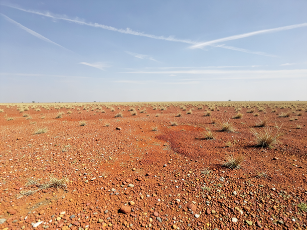 Deccan Plateau Midday Expanse