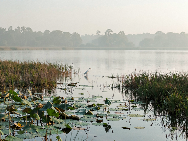Serene Lake at Dawn