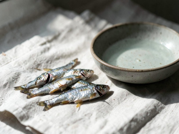 Morning Fish Still Life