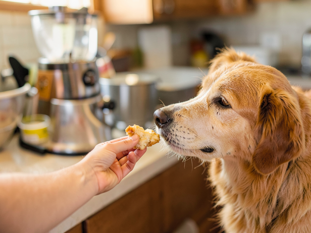 Chicken treat for nervous dog