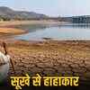 राजस्थान में भीषण सूखा: 14 जिलों की 80 तहसीलें बेहाल, पानी-चारे का भारी संकट, सर्दियों में टैंकरों की तैयारी शुरू | Severe Drought in Rajasthan: 80 Tehsils of 14 Districts in Distress, Severe Water-Fodder Crisis, Preparations for Tankers in Winter Begin