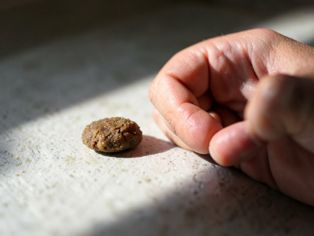 Treat and Hand