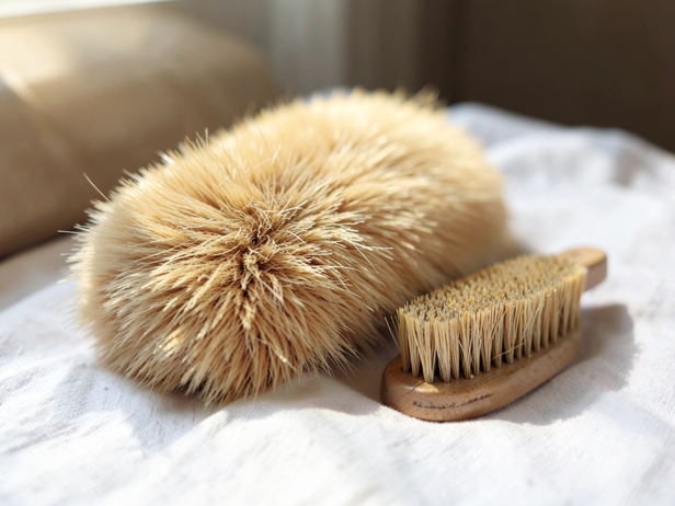 Golden Coat, Bristle Brush