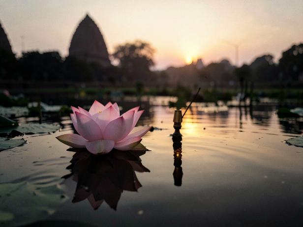 Dawn Lotus and Lamp