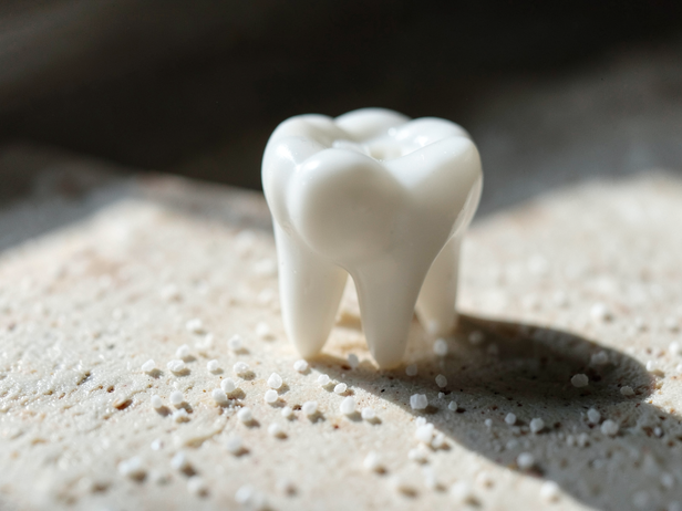 Tooth Model and Minerals