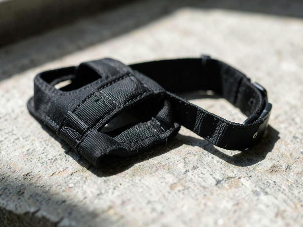 Dog Harness and Collar