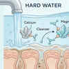 Hard Water and Skin: What Calcium Deposits Do to Your Cleanser