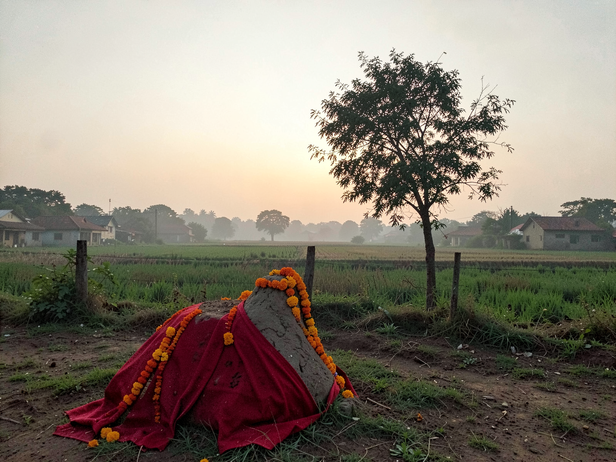 Dawn at South Indian Village