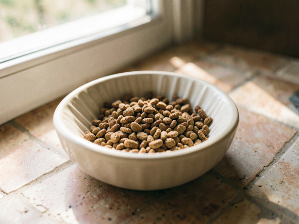 Kibble Puzzle Bowl