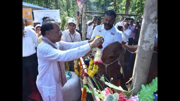 पशुपालन विभाग