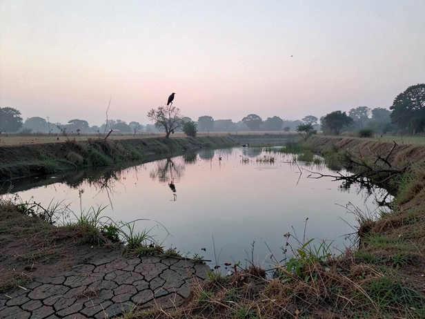 Dawn Kite Over Still Pond