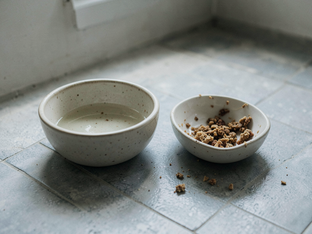 Untouched Meal, Thirsty Bowl