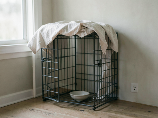 Crate Prepared for Comfort
