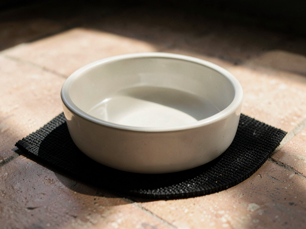 Ceramic Dog Bowl Detail