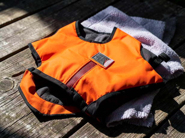 Canine Life Jacket Ready
