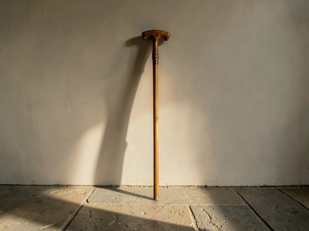 Wooden Cane's Morning Light