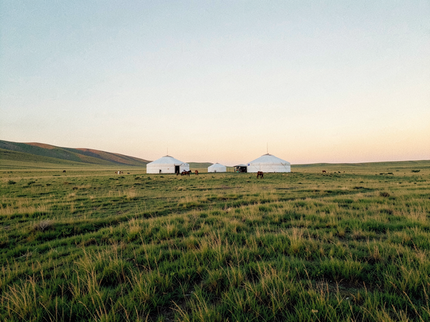 Mongolian Steppe Dawn