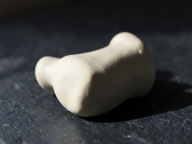 Ceramic Bone Joint Model