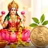 धनतेरस 2026: जानें क्या खरीदें, क्या नहीं, और शुभ मुहूर्त | Dhanteras 2026: Know What to Buy, What Not to Buy, and Auspicious Timings