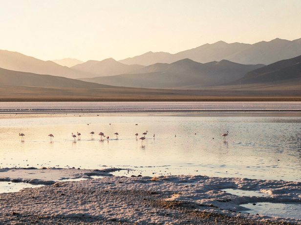 Andean Salt Flat Sunrise