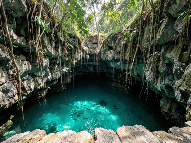 Turquoise Cenote's Depths