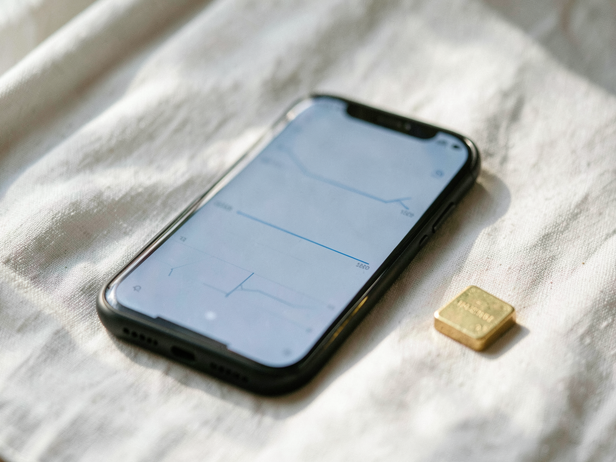 Gold and Tech Investment