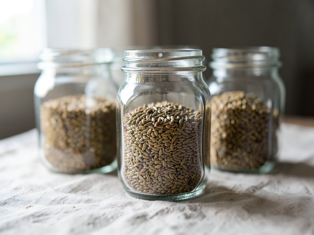 Grain Jars in Soft Light