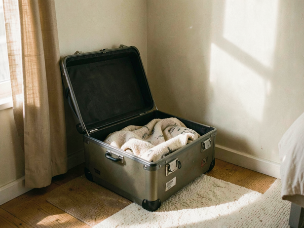 Dog's Guest Room Corner
